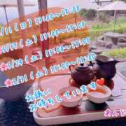 ヒメ日記 2025/05/08 08:27 投稿 安藤(あんどう) 八王子人妻城