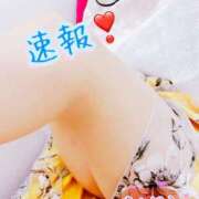 ヒメ日記 2025/05/09 00:33 投稿 安藤(あんどう) 八王子人妻城