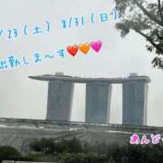 ヒメ日記 2025/08/05 15:45 投稿 安藤(あんどう) 八王子人妻城