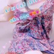 ヒメ日記 2025/08/12 22:48 投稿 安藤(あんどう) 八王子人妻城