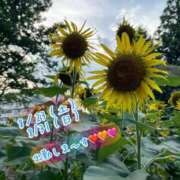 ヒメ日記 2025/08/20 19:03 投稿 安藤(あんどう) 八王子人妻城