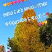 ヒメ日記 2025/11/27 12:33 投稿 安藤(あんどう) 八王子人妻城