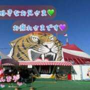 ヒメ日記 2026/01/29 14:03 投稿 安藤(あんどう) 八王子人妻城