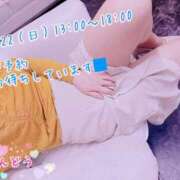 ヒメ日記 2026/02/21 10:42 投稿 安藤(あんどう) 八王子人妻城