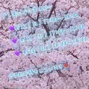 ヒメ日記 2026/03/31 08:27 投稿 安藤(あんどう) 八王子人妻城