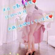 ヒメ日記 2026/09/02 07:39 投稿 安藤(あんどう) 八王子人妻城