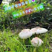 ヒメ日記 2026/10/01 08:19 投稿 安藤(あんどう) 八王子人妻城