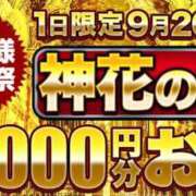 ヒメ日記 2025/09/20 11:50 投稿 ゆいな モアグループ神栖人妻花壇