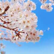 ヒメ日記 2025/04/05 09:44 投稿 かずは 学園collection