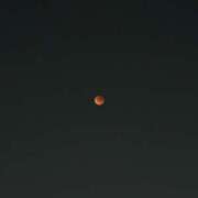 ヒメ日記 2025/09/23 12:00 投稿 みき 横浜人妻セレブリティ（ユメオト）