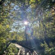 ヒメ日記 2025/11/29 17:40 投稿 みき 横浜人妻セレブリティ（ユメオト）