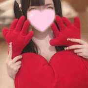 ヒメ日記 2024/12/17 17:32 投稿 うさぎ 隣の奥様 佐久店