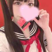 ヒメ日記 2024/12/18 11:47 投稿 うさぎ 隣の奥様 佐久店