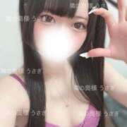 ヒメ日記 2025/03/16 12:31 投稿 うさぎ 隣の奥様 佐久店