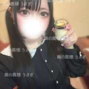 ヒメ日記 2025/03/19 14:40 投稿 うさぎ 隣の奥様 佐久店