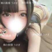 ヒメ日記 2025/03/19 20:45 投稿 うさぎ 隣の奥様 佐久店