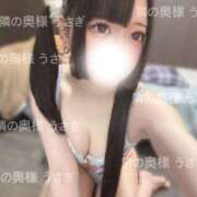 ヒメ日記 2025/03/22 11:46 投稿 うさぎ 隣の奥様 佐久店