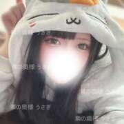 ヒメ日記 2025/03/22 18:53 投稿 うさぎ 隣の奥様 佐久店