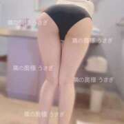 ヒメ日記 2025/03/23 16:28 投稿 うさぎ 隣の奥様 佐久店