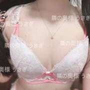 ヒメ日記 2025/03/24 22:36 投稿 うさぎ 隣の奥様 佐久店