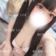 ヒメ日記 2025/04/19 12:31 投稿 うさぎ 隣の奥様 佐久店