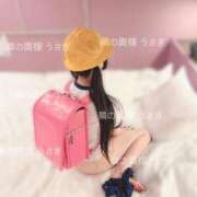 ヒメ日記 2025/04/20 17:21 投稿 うさぎ 隣の奥様 佐久店