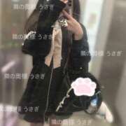 ヒメ日記 2025/04/24 08:19 投稿 うさぎ 隣の奥様 佐久店