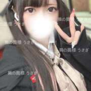 ヒメ日記 2025/04/24 11:01 投稿 うさぎ 隣の奥様 佐久店