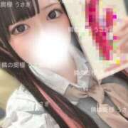 ヒメ日記 2025/04/24 20:03 投稿 うさぎ 隣の奥様 佐久店