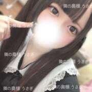 ヒメ日記 2025/04/25 09:55 投稿 うさぎ 隣の奥様 佐久店