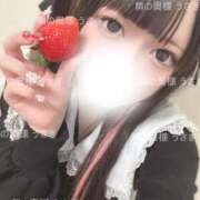 ヒメ日記 2025/04/25 14:49 投稿 うさぎ 隣の奥様 佐久店