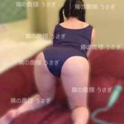 ヒメ日記 2025/04/27 16:59 投稿 うさぎ 隣の奥様 佐久店