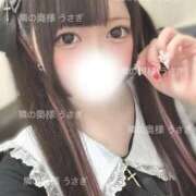 ヒメ日記 2025/04/27 22:22 投稿 うさぎ 隣の奥様 佐久店