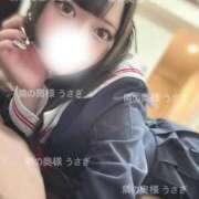 ヒメ日記 2025/04/28 14:27 投稿 うさぎ 隣の奥様 佐久店