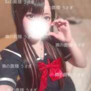 ヒメ日記 2025/04/29 01:31 投稿 うさぎ 隣の奥様 佐久店