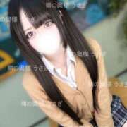 ヒメ日記 2025/06/03 04:00 投稿 うさぎ 隣の奥様 佐久店