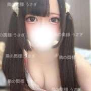 ヒメ日記 2025/06/11 15:48 投稿 うさぎ 隣の奥様 佐久店