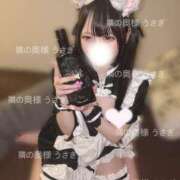 ヒメ日記 2025/06/12 00:11 投稿 うさぎ 隣の奥様 佐久店