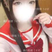 ヒメ日記 2025/06/13 16:52 投稿 うさぎ 隣の奥様 佐久店