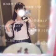 ヒメ日記 2025/06/14 23:11 投稿 うさぎ 隣の奥様 佐久店