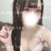 ヒメ日記 2025/06/15 10:08 投稿 うさぎ 隣の奥様 佐久店