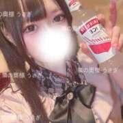 ヒメ日記 2025/06/16 06:42 投稿 うさぎ 隣の奥様 佐久店