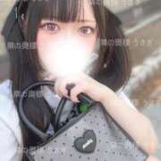 ヒメ日記 2025/07/09 11:29 投稿 うさぎ 隣の奥様 佐久店