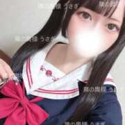 ヒメ日記 2025/07/09 22:31 投稿 うさぎ 隣の奥様 佐久店