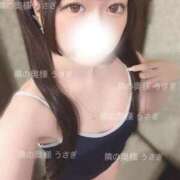 ヒメ日記 2025/07/10 18:27 投稿 うさぎ 隣の奥様 佐久店