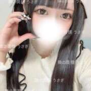 ヒメ日記 2025/07/11 00:26 投稿 うさぎ 隣の奥様 佐久店