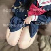 ヒメ日記 2025/07/12 19:35 投稿 うさぎ 隣の奥様 佐久店