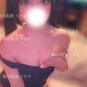 ヒメ日記 2025/07/13 14:23 投稿 うさぎ 隣の奥様 佐久店