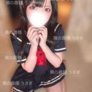 ヒメ日記 2025/07/14 01:04 投稿 うさぎ 隣の奥様 佐久店