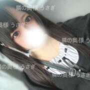 ヒメ日記 2025/08/16 08:04 投稿 うさぎ 隣の奥様 佐久店